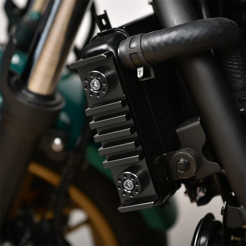 Amazon | HARDREV z650rs ラジエーターガード 2022-2023